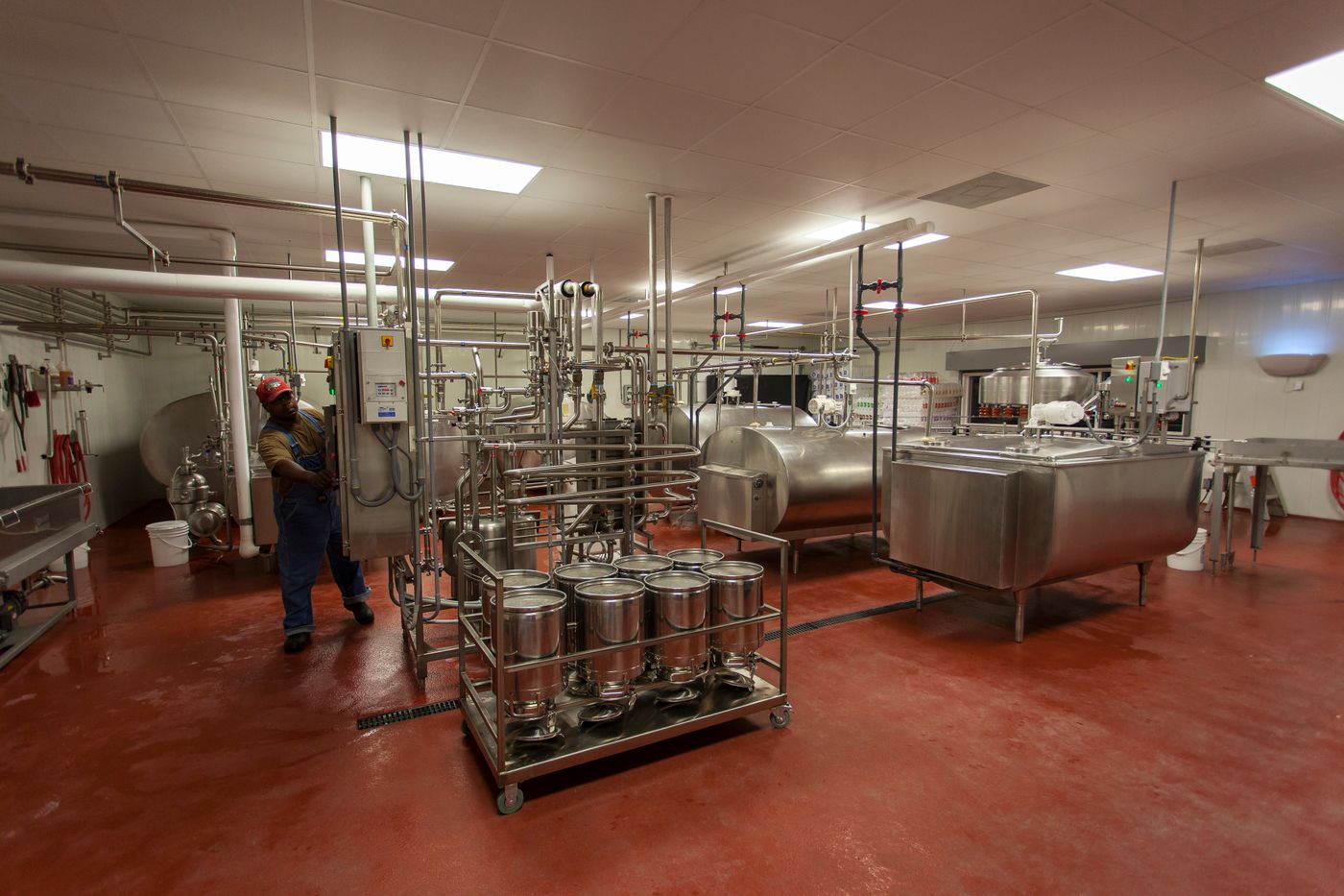 Dairy processing equipment and production area